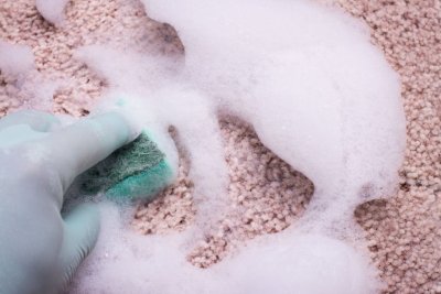 carpet shampooing