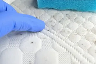 Couch Mould Treatment Ballarat